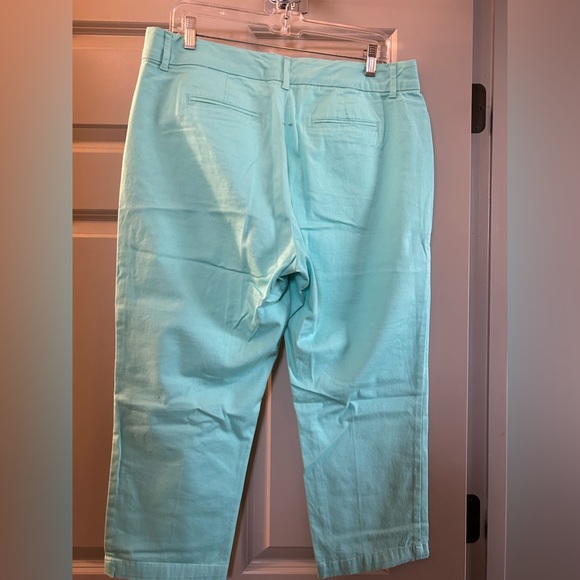 CAPRIS NEW size 12 Sea Green - Picture 2 of 5